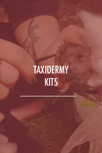 Taxidermy Kits