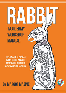 Taxidermy Workshop Manuals